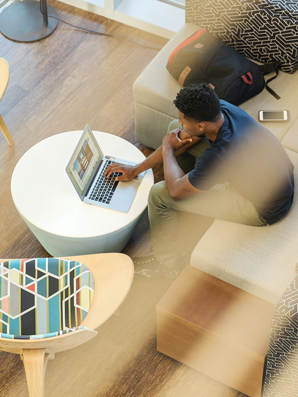 spearmint services bee services