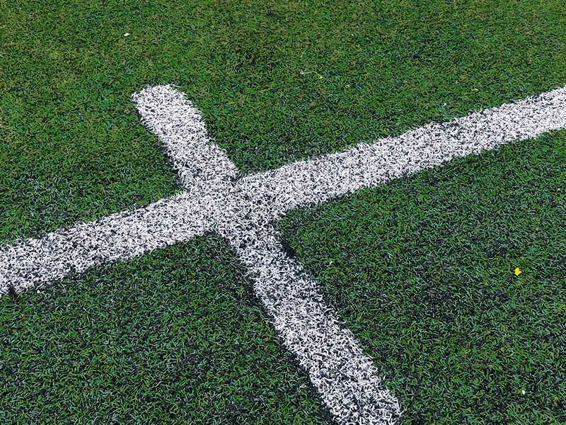 spearmint services grass line